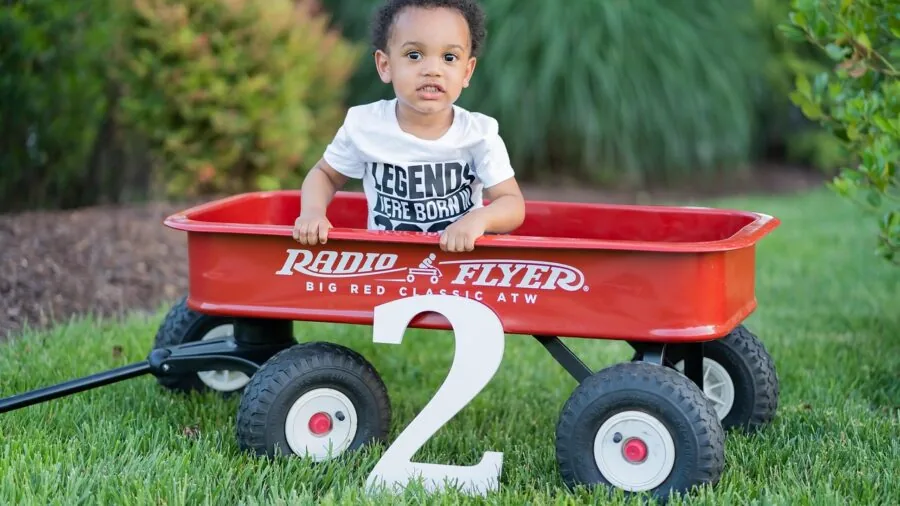 Young child safely secured in wagon with harness during outdoor family activity