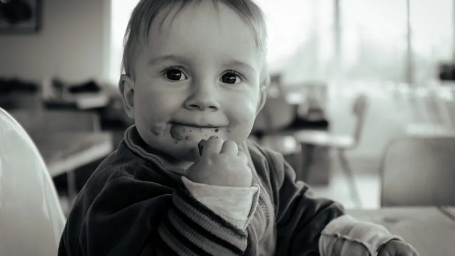 Young child sitting in highchair eating from plate during mealtime