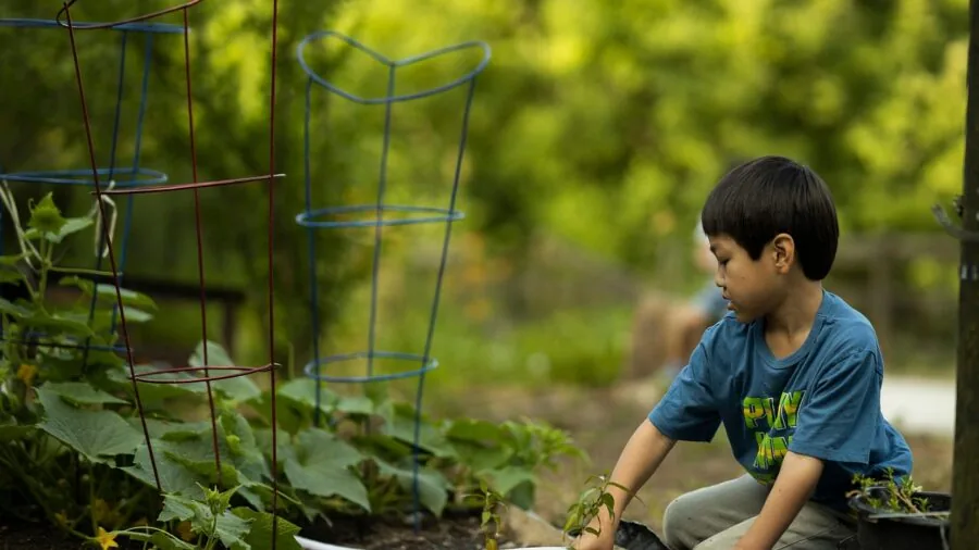 Young child using gardening tools safely in outdoor garden with adult supervision