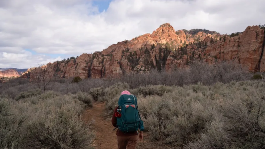 Young child wearing comfortable backpack on outdoor trail, demonstrating proper fit and ergonomic design